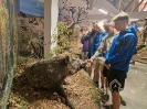 Ekspedycja 11 Bieszczady 25-29.09.2023