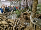 Ekspedycja 11 Bieszczady 25-29.09.2023-66