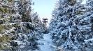 Ekspedycja 14 Beskidy 17-20.02.2025-31