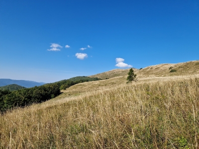 Ekspedycja 11 Bieszczady 25-29.09.2023-73