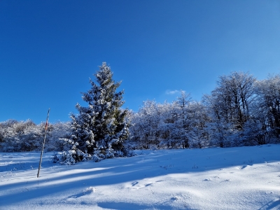 Ekspedycja 14 Beskidy 17-20.02.2025-20